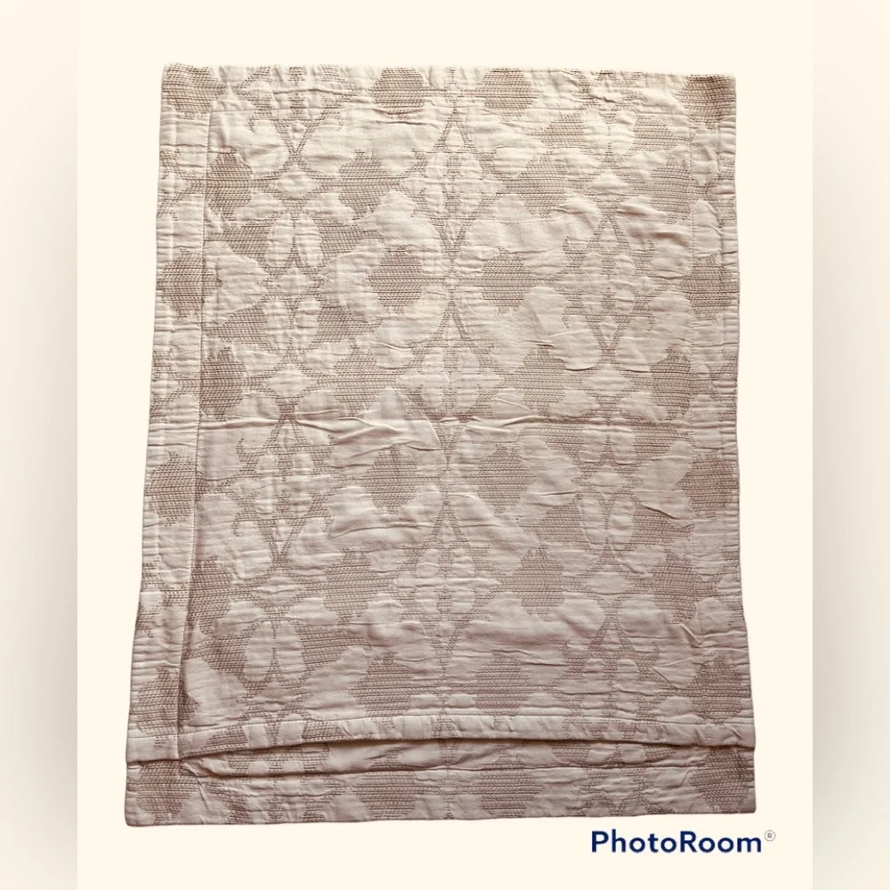 2 Pottery Barn textured pillow shams